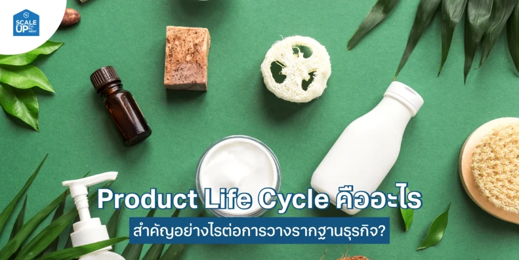 Product Life Cycle คืออะไร